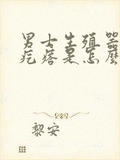 男士生殖器长小疙瘩是怎么回事