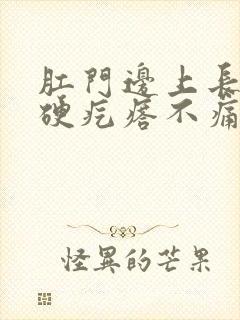 肛门边上长了个硬疙瘩不痛不痒