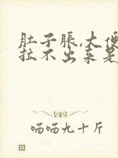 肚子胀,大便又拉不出来是什么原因