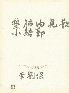 双肺内见散在微小结节封面