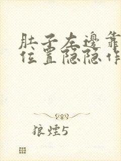 肚子左边靠下的位置隐隐作痛封面