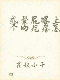 感觉屁眼上长了个肉疙瘩怎么办封面