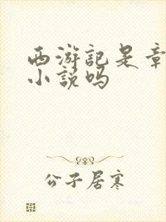 西游记是章回体小说吗