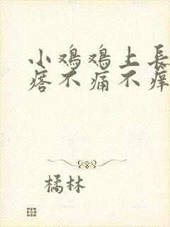 小鸡鸡上长肉疙瘩不痛不痒封面