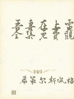 吾妻在上电视剧全集免费观看