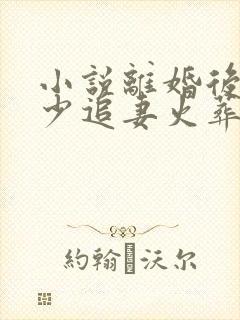 小说离婚后,楚少追妻火葬场了小说