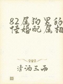 82属狗男的最佳婚配属相封面