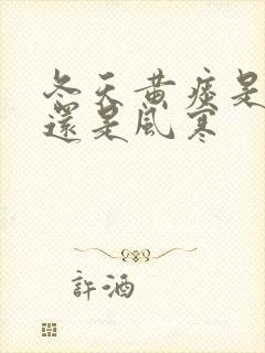 冬天黄痰是风热还是风寒