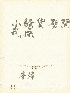 小骚货劈开腿让我操封面