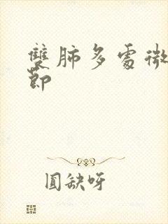 双肺多处微小结节封面