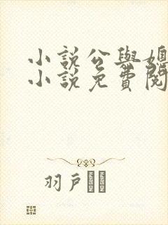 小说公与媳苏暖小说免费阅读