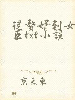 从赘婿到女帝宠臣txt小说