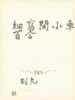 细写开小车车的百合