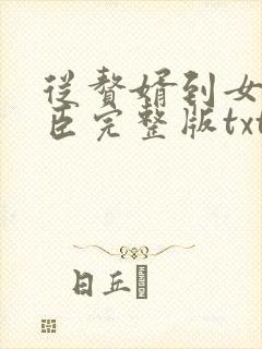 从赘婿到女帝宠臣完整版txt下载