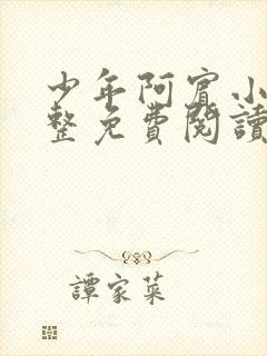 少年阿宾小说完整免费阅读全文