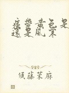 痰带黄色是风热还是风寒封面