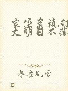 家侄崇祯,打造大明日不落小说免费讲述