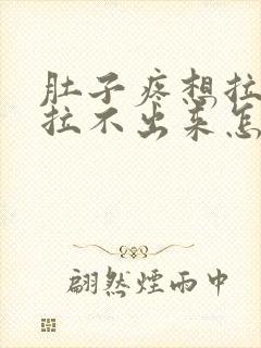 肚子疼想拉屎但拉不出来怎么办