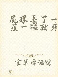 屁眼长了一个痘痘一碰就疼