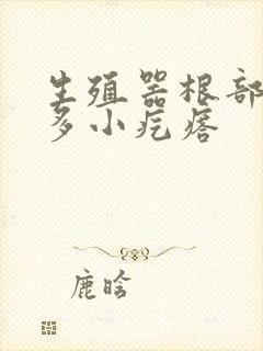 生殖器根部有好多小疙瘩