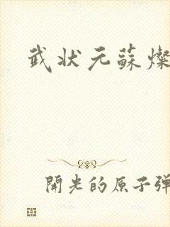 武状元苏灿封面