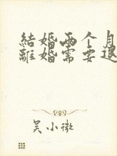 结婚两个月家暴离婚需要退彩礼吗封面