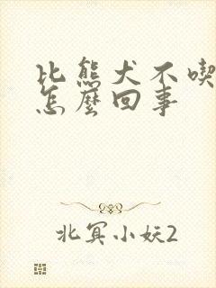 比熊犬不吃食是怎么回事封面