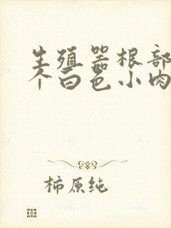 生殖器根部长了个白色小肉粒封面