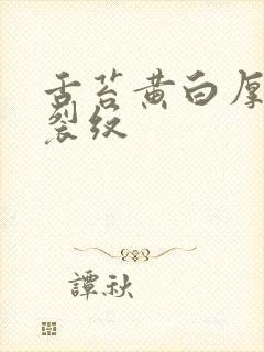 舌苔黄白厚腻有裂纹