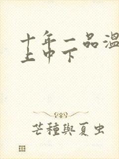 十年一品温如言上中下