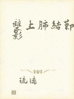 双上肺结节条索影