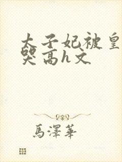 太子妃被皇上c哭高h文