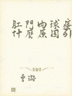 肛门肉球瘙痒是什么原因引起的,怎么治疗