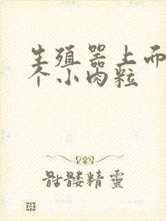 生殖器上面长了个小肉粒