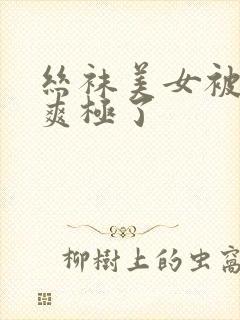 丝袜美女被插的爽极了