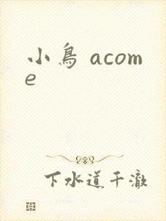 小鸟 acome