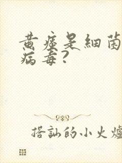 黄痰是细菌还是病毒?