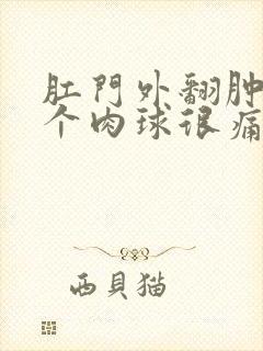 肛门外翻肿了一个肉球很痛