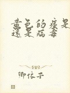 黄色的痰是细菌还是病毒