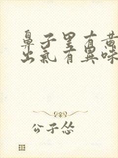 鼻子里有黄鼻涕出气有异味是怎么回事