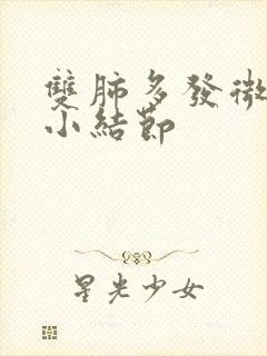 双肺多发微小,小结节