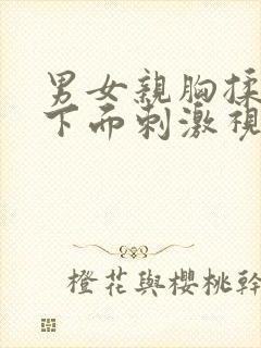 男女亲胸揉胸摸下面刺激视频