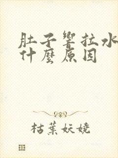 肚子响拉水便是什么原因