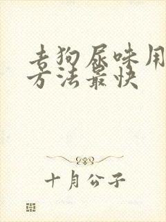 去狗尿味用什么方法最快