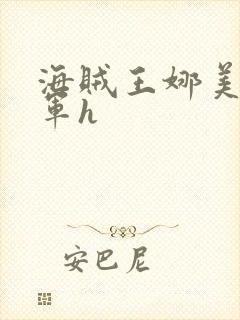 海贼王娜美被海军h