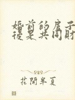 婚前的房子结婚后是共同财产吗