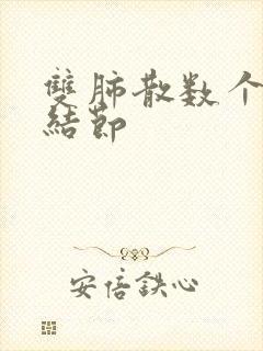 双肺散数个微小结节