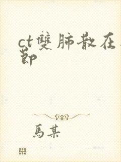 ct双肺散在结节