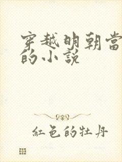 穿越明朝当王爷的小说