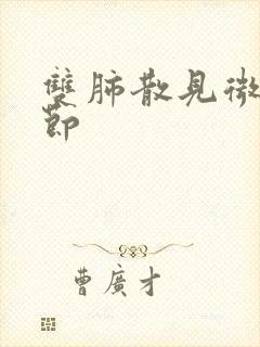 双肺散见微小结节封面